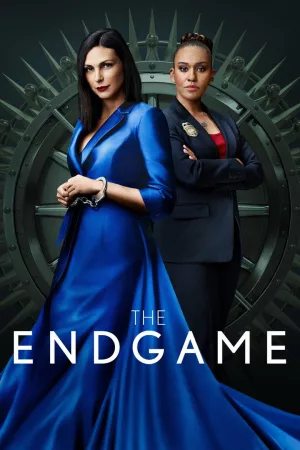 Jaquette : The Endgame