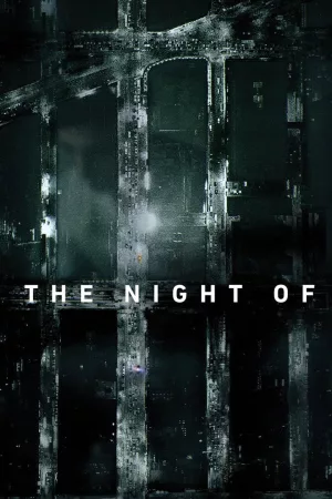 Jaquette : The Night Of