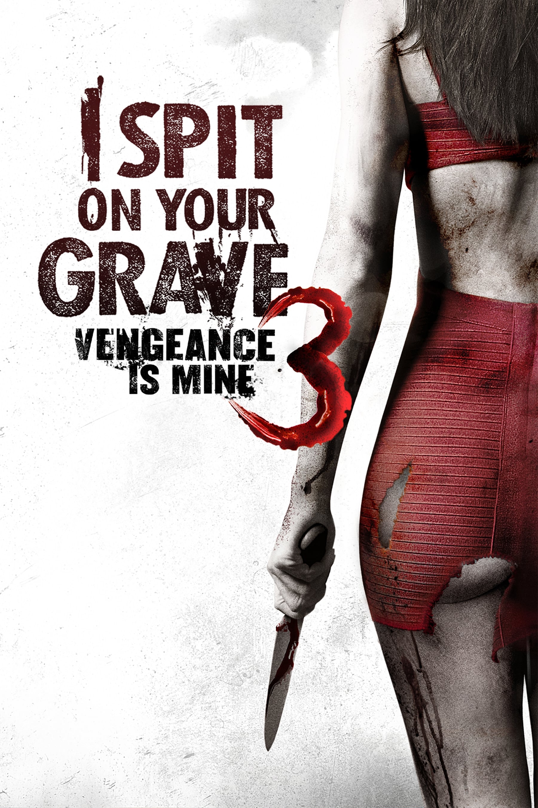 I Spit On Your Grave 3 Streaming Comment regarder I Spit on Your Grave III: Vengeance is Mine en streaming ?